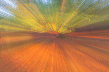 autumn forest on a bright sunny day. Abstract photo. Colorful textured background. long shutter speed.
