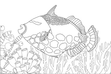 Fish exotic coloring. Antistress coloring page. Sea creatures. Ocean fish. Vector illustration