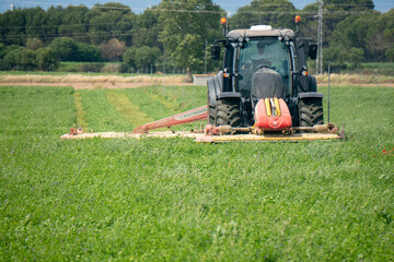 agricultura corte alfalfa