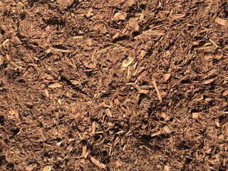 Moist forest floor mulch texture