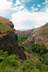Fototapeta premium paisaje con verdes arboles y acandilados 