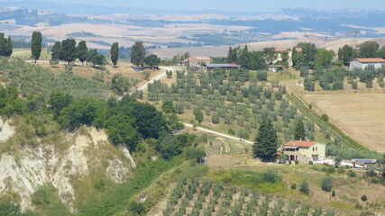 Fototapeta na wymiar typisches Landschaftsbild der Toskana im Sommer mit Hügellandschaft, Landgut, Olivenhainen und Zypressen