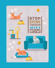 Adopt cats now result, stop saying tommorow vector illustration. Template flyer animal shelter, take strat cat home. Pet character on upholstered furniture near feeder, poster.