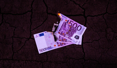 500 euro banknotes burn in the fire