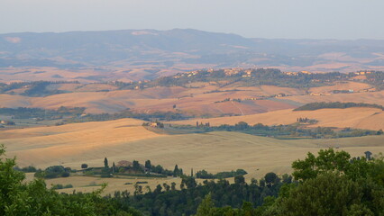 Fototapeta na wymiar Abendstimmung über einer typische Landschaft der Toskana im Sommer mit Hügellandschaft, Landgut, Olivenhainen und Zypressen