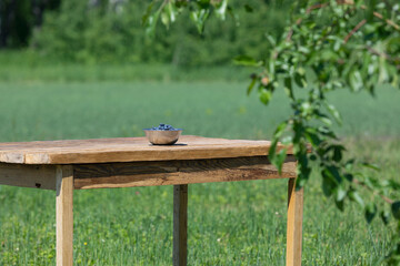 Fresh organic honeyberry or sweetberry honeysuckle in bowl on wood table on nature background