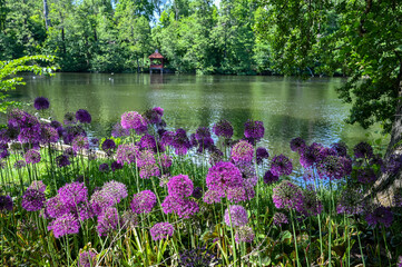 City park Abackarna and Motala river during summer  in Norrkoping, Sweden