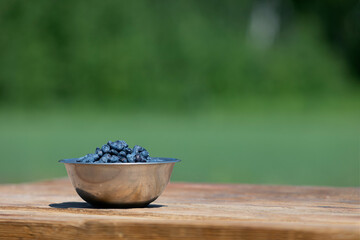 Ripe organic honeyberry in bowl. Fresh honeysuckle berries harvest from berry farm