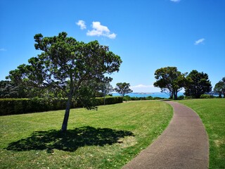 Park in Auckland
