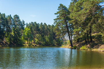 lake and forest