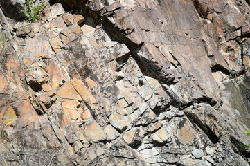 old wood texture