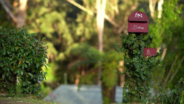 Lovely red mailbox on a pole covered with climbing plant with dense green leaves with a view of an Australian forest in background.
