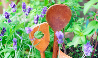 Fresh herbs and wooden spoons,natural, organic, seasonal ingredients, healthy food, narrow focus