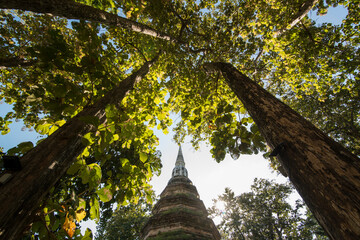 THAILAND CHIANG SAEN WAT PHRA THAT CHEDI LUANG