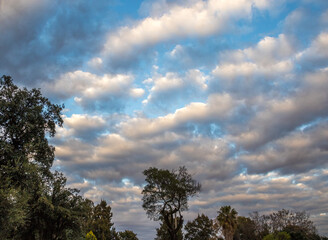 Obraz premium Winter weather June 2020 as a cold front moves in over the Highveld region in Gauteng province in South Africa