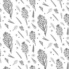 Rapeseed Flowers with Pod, Seeds  in hand draw style. Seamless vector pattern. Black and white 