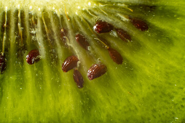 Macro of kiwi seeds