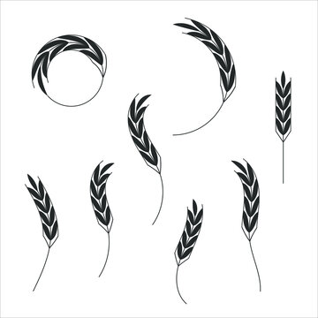 Cereal grain spikes icon shape set. Agriculture food logo symbol. Vector illustration image. Isolated on white background. Oat, whey, barley, rye.