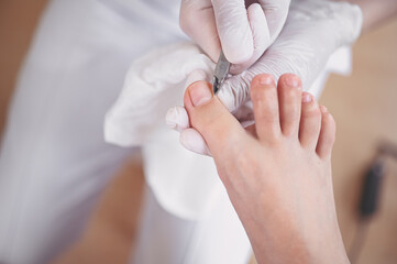 Obraz na płótnie Canvas Professional medical pedicure procedure close up using nail clippers instrument. Patient visiting chiropodist podiatrist. Foot treatment in SPA salon. Podiatry clinic. Pedicurist hands white gloves.