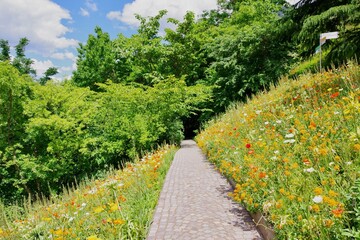 Blumenweg