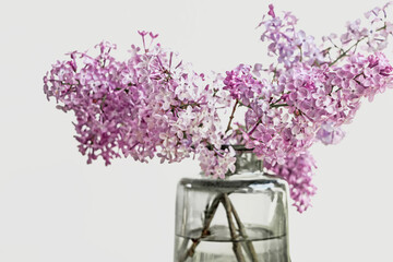 pink and purple lilac flower bouquet in glass vase
