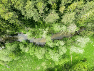 Forest and river aerial view from a drone. Summer landscape. Background. 