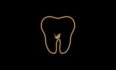 dentall, tooth, medical, teeth, bird