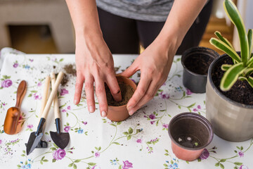 Fototapeta na wymiar Manos de mujer joven haciendo un agujero con los dedos en un tarro, concepto jardinería en casa, eco, medioambiente