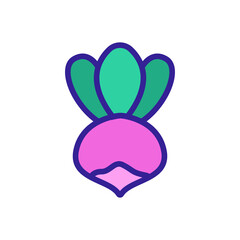 turnip agricultural vegetable icon vector. turnip agricultural vegetable sign. isolated color symbol illustration