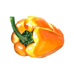 Watercolor yellow pepper. Raster vegetable illustration for a cookbook, ingredients of recipes, advertising, cards for children and botanical magazines. Natural and organic agriculture.