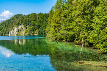 Green deep forest on the shore of a mountin lake with calm flat water
