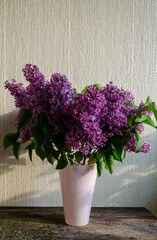 White lilac flowers close-up surrounded by green leaves. Branch with spring flowers pink lilac flowers, blooming floral background.
