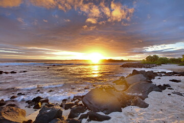 Fototapeta premium sunset on the beach