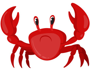 Crab in cartoon style. Sea animal isolated on white background.