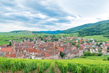 Alsace village, vineyard, Riquewhir, France, Europe, Automn