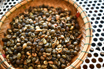 Reflect coffee beans robusta in thailand