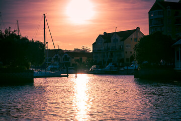 Pink sunset over Gulf Harbour town basin. Sailboats moored by pretty houses, Auckland, New Zealand