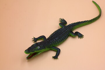 Naklejka premium lizard on a branch