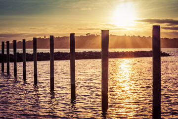 Fototapeta na wymiar Golden twilight over Gulf Harbour marina. Mooring poles lined up towards horizon