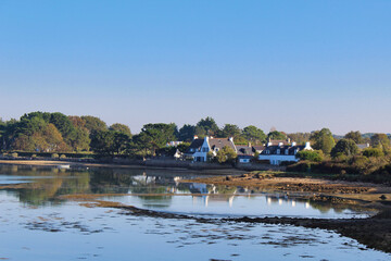 landscape with sea and trees