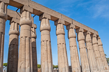 Hieroglyphic carvings on ancient egyptian temple columns