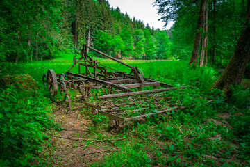 Alte benutzte und rostige Egge am Rand einer Waldlichtung im bayerischen Wald