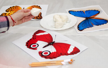 cookies butterfly cream creativity