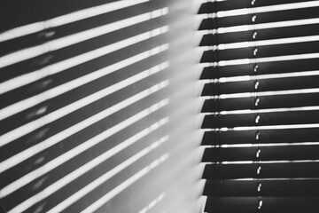 the shadows of the blinds