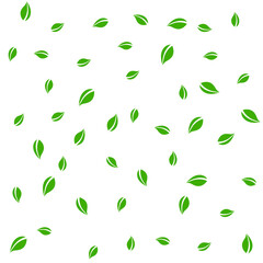 Falling green leaves. Fresh tea random leaves flyi