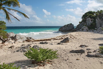 Beautiful beach of mexico. Wild beach. Traveling the world.