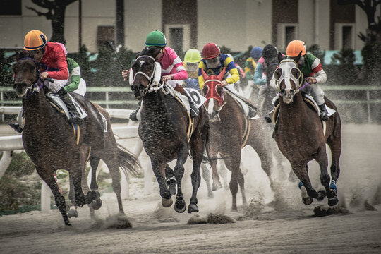 competitive horse racing in heavy sandstorm.