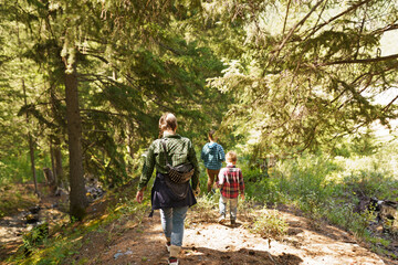 Obraz premium hiking in the woods