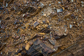 the background and rough dark stone texture closeup