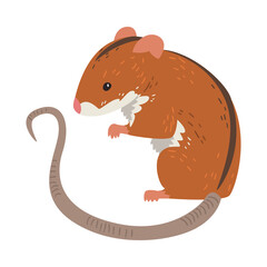 Field Mouse, Cute Fluffy Red Rodent Animal with Black Stripe on Its Back, Side View Vector Illustration